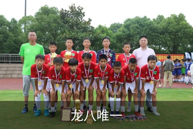 龙八唯一企业展示图